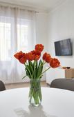 Туры в отель Casa Flaminia Туры в отель Casa Flaminia