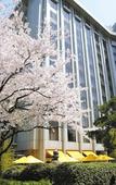 Туры в отель Sheraton Miyako Hotel Tokyo Туры в отель Sheraton Miyako Hotel Tokyo