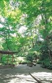 Туры в отель Sheraton Miyako Hotel Tokyo Туры в отель Sheraton Miyako Hotel Tokyo