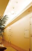 Туры в отель Hotel Olive Sakai Туры в отель Hotel Olive Sakai