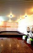 Туры в отель Hotel Sunplaza Sakai Туры в отель Hotel Sunplaza Sakai