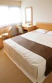 Туры в отель Osaka Garden Palace Туры в отель Osaka Garden Palace