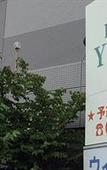 Туры в отель Hotel New Yutaka Туры в отель Hotel New Yutaka