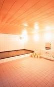 Туры в отель Gion Ryokan Karaku Туры в отель Gion Ryokan Karaku