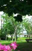 Туры в отель Coco Garden Resort Okinawa Туры в отель Coco Garden Resort Okinawa