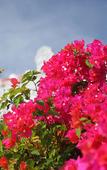 Туры в отель Hotel Hamahigashima Resort Туры в отель Hotel Hamahigashima Resort
