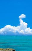Туры в отель Hotel Hamahigashima Resort Туры в отель Hotel Hamahigashima Resort