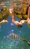 Туры в отель Hotel Hamahigashima Resort Туры в отель Hotel Hamahigashima Resort