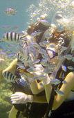 Туры в отель Hotel Hamahigashima Resort Туры в отель Hotel Hamahigashima Resort