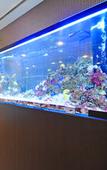 Туры в отель Lit Hotel NAKIJIN Туры в отель Lit Hotel NAKIJIN