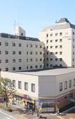 Туры в отель Maple Inn Makuhari Туры в отель Maple Inn Makuhari