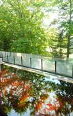 Туры в отель Sapporo Kitahiroshima Classe Hotel Туры в отель Sapporo Kitahiroshima Classe Hotel