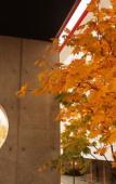 Туры в отель Sapporo Kitahiroshima Classe Hotel Туры в отель Sapporo Kitahiroshima Classe Hotel