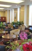 Туры в отель Mercure Yokosuka Туры в отель Mercure Yokosuka