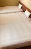 Туры в отель Suizenji Comfort Hotel Туры в отель Suizenji Comfort Hotel