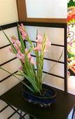Туры в отель Fuji-Hakone Guest House Туры в отель Fuji-Hakone Guest House