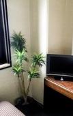 Туры в отель HOTEL LiVEMAX Sagamihara Туры в отель HOTEL LiVEMAX Sagamihara