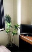 Туры в отель HOTEL LiVEMAX Sagamihara Туры в отель HOTEL LiVEMAX Sagamihara