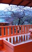 Туры в отель Shin Kado Ya Туры в отель Shin Kado Ya