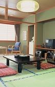 Туры в отель Sounkyo Mount View Hotel Туры в отель Sounkyo Mount View Hotel