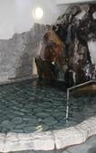Туры в отель Ryokan Sensyoen Туры в отель Ryokan Sensyoen