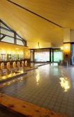 Туры в отель Kurobe Kanko Hotel Туры в отель Kurobe Kanko Hotel