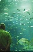 Туры в отель Aqua Natura Bay Туры в отель Aqua Natura Bay