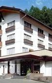 Туры в отель Nozawa Grand Hotel Туры в отель Nozawa Grand Hotel