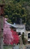 Туры в отель Hinotanionsen Misugi Resort Туры в отель Hinotanionsen Misugi Resort