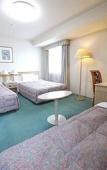 Туры в отель Route Inn Grantia Komaki Туры в отель Route Inn Grantia Komaki
