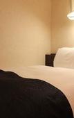Туры в отель APA Hotel Uozu Ekimae Туры в отель APA Hotel Uozu Ekimae