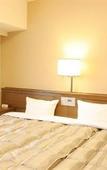 Туры в отель Hotel Route Inn Tsuruga Ekimae Туры в отель Hotel Route Inn Tsuruga Ekimae