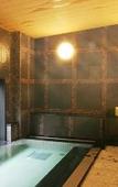 Туры в отель Hotel Route Inn Tsuruga Ekimae Туры в отель Hotel Route Inn Tsuruga Ekimae