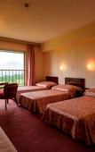 Туры в отель Tsumagoi Prince Hotel Туры в отель Tsumagoi Prince Hotel