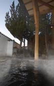 Туры в отель Ryokan Biyunoyado Туры в отель Ryokan Biyunoyado