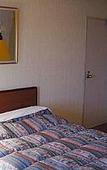 Туры в отель Loisir Hotel Toyohashi Туры в отель Loisir Hotel Toyohashi