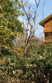 Туры в отель Country Resort Niseko Туры в отель Country Resort Niseko