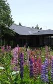 Туры в отель Country Resort Niseko Туры в отель Country Resort Niseko