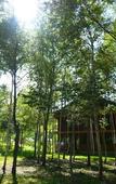 Туры в отель Country Resort Niseko Туры в отель Country Resort Niseko