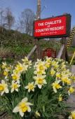 Туры в отель Country Resort Niseko Туры в отель Country Resort Niseko