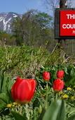 Туры в отель Country Resort Niseko Туры в отель Country Resort Niseko