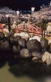 Туры в отель Hotel Kaminoyu Onsen Туры в отель Hotel Kaminoyu Onsen