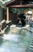 Туры в отель Tsuetate Onsen Hizenya Туры в отель Tsuetate Onsen Hizenya
