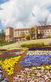 Туры в отель Fruit Park Fujiya Hotel Туры в отель Fruit Park Fujiya Hotel