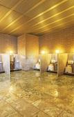 Туры в отель Fruit Park Fujiya Hotel Туры в отель Fruit Park Fujiya Hotel