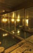Туры в отель Fruit Park Fujiya Hotel Туры в отель Fruit Park Fujiya Hotel