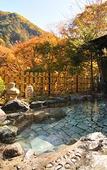 Туры в отель Ginshotei Awashima Туры в отель Ginshotei Awashima