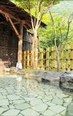 Туры в отель Ginshotei Awashima Туры в отель Ginshotei Awashima