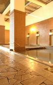 Туры в отель Hotel Taisetsu ONSEN&CANYON RESORT Туры в отель Hotel Taisetsu ONSEN&CANYON RESORT