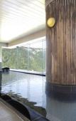 Туры в отель Hotel Taisetsu ONSEN&CANYON RESORT Туры в отель Hotel Taisetsu ONSEN&CANYON RESORT